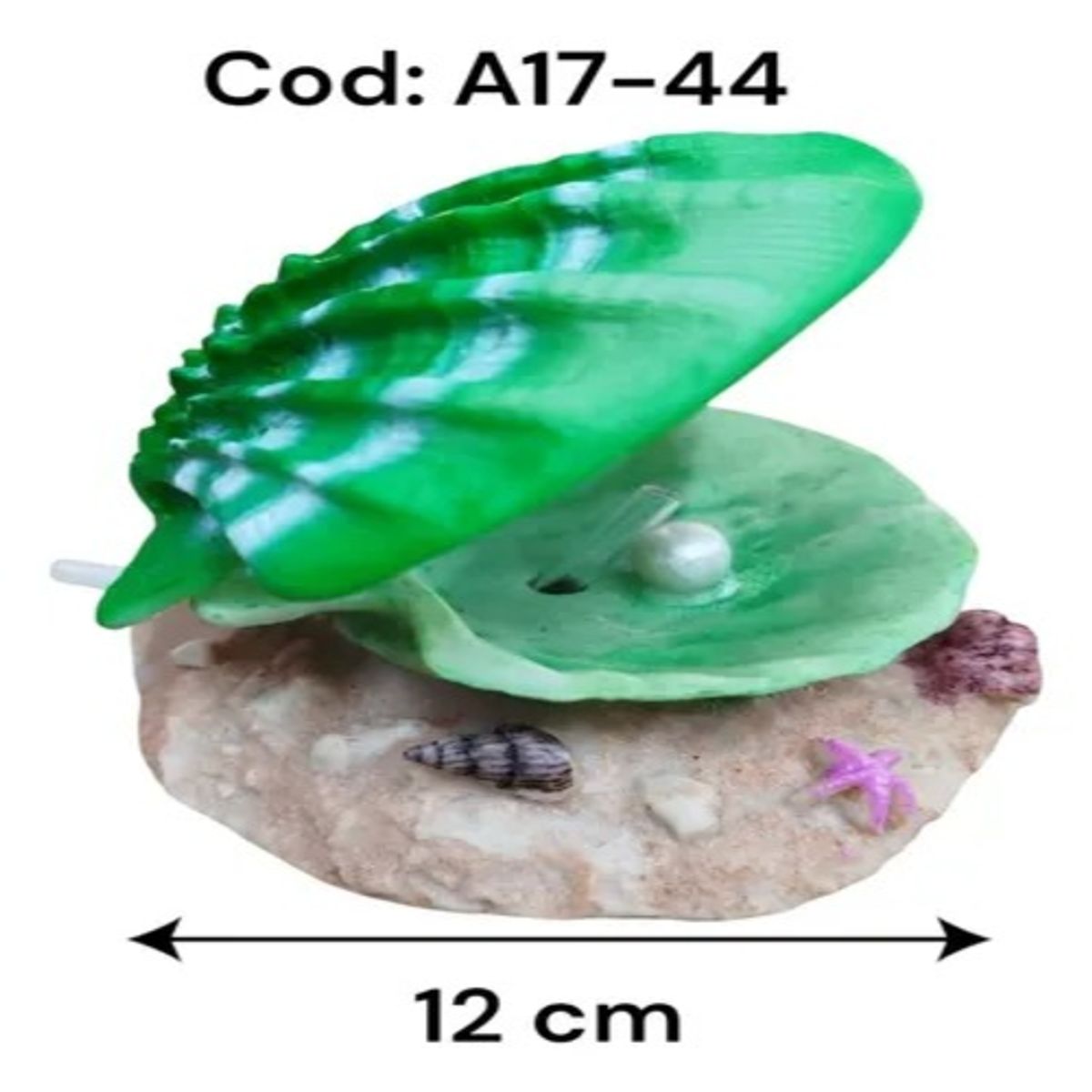 GENERICO - Decoracion De Almeja A17-44