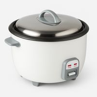 Olla Arrocera Eléctrica 10 litros