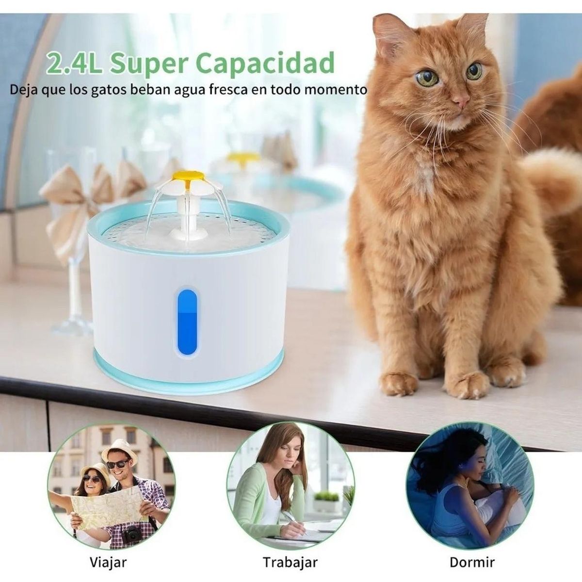 GENERICO - Pack de 12 Filtros para Bebederos Automáticos