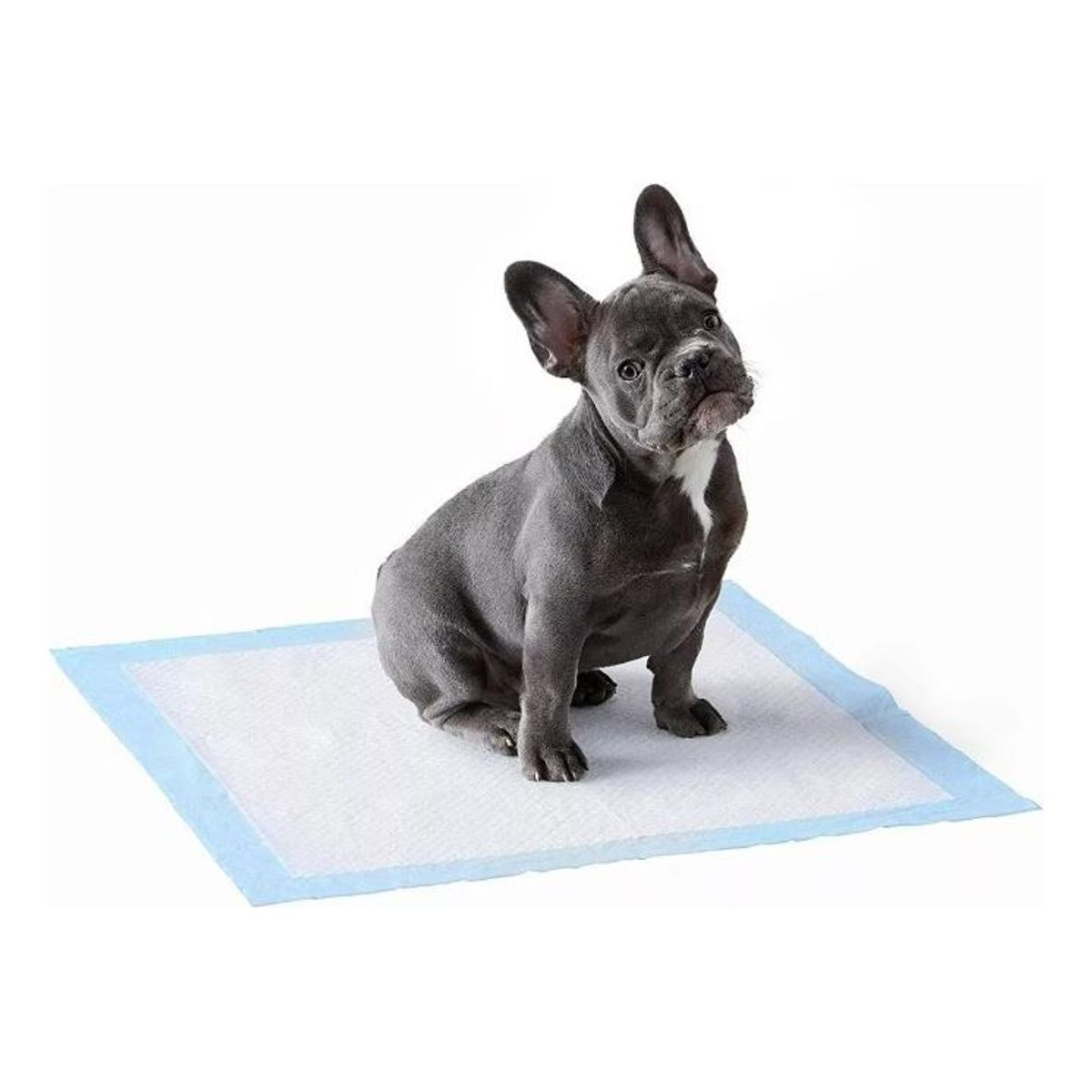 GENERICO - Pañales Descartables para Mascotas - 100 Unidades 33x45 cm