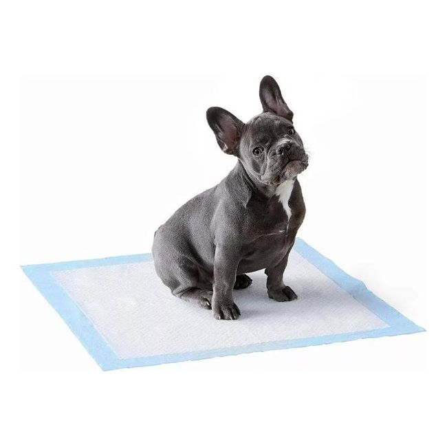 GENERICO - Pañales Descartables para Mascotas - 100 Unidades 33x45 cm