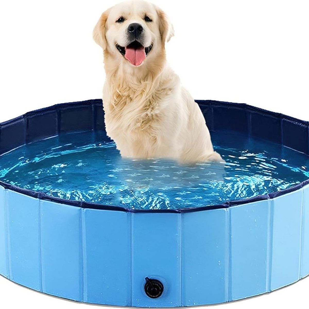 GENERICO - Piscina Plegable para Perros 160x30 cm - Ideal para Verano