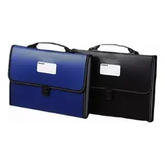 GENERICO - Carpeta Organizadora A4 con 12 Fuelles Color Negro