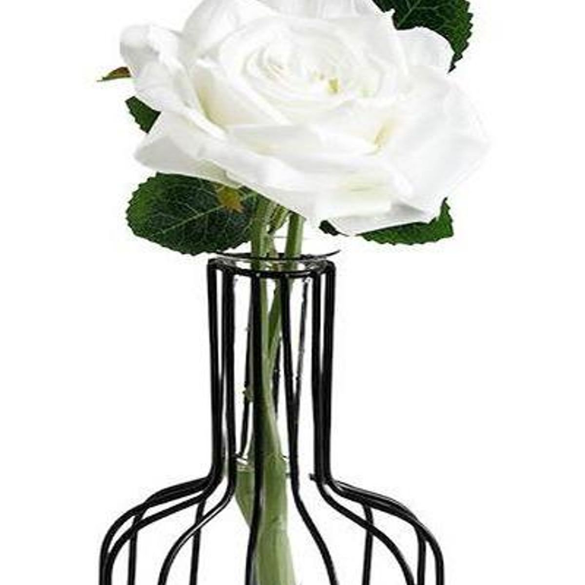 GENERICO - Florero Hidropónico de Vidrio para Decoración de Plantas