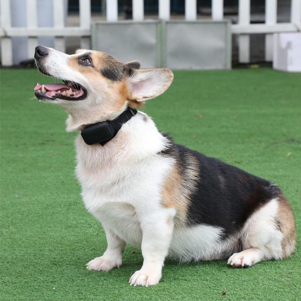 GENERICO - Collar Antiladridos Eléctrico Ajustable para Perros