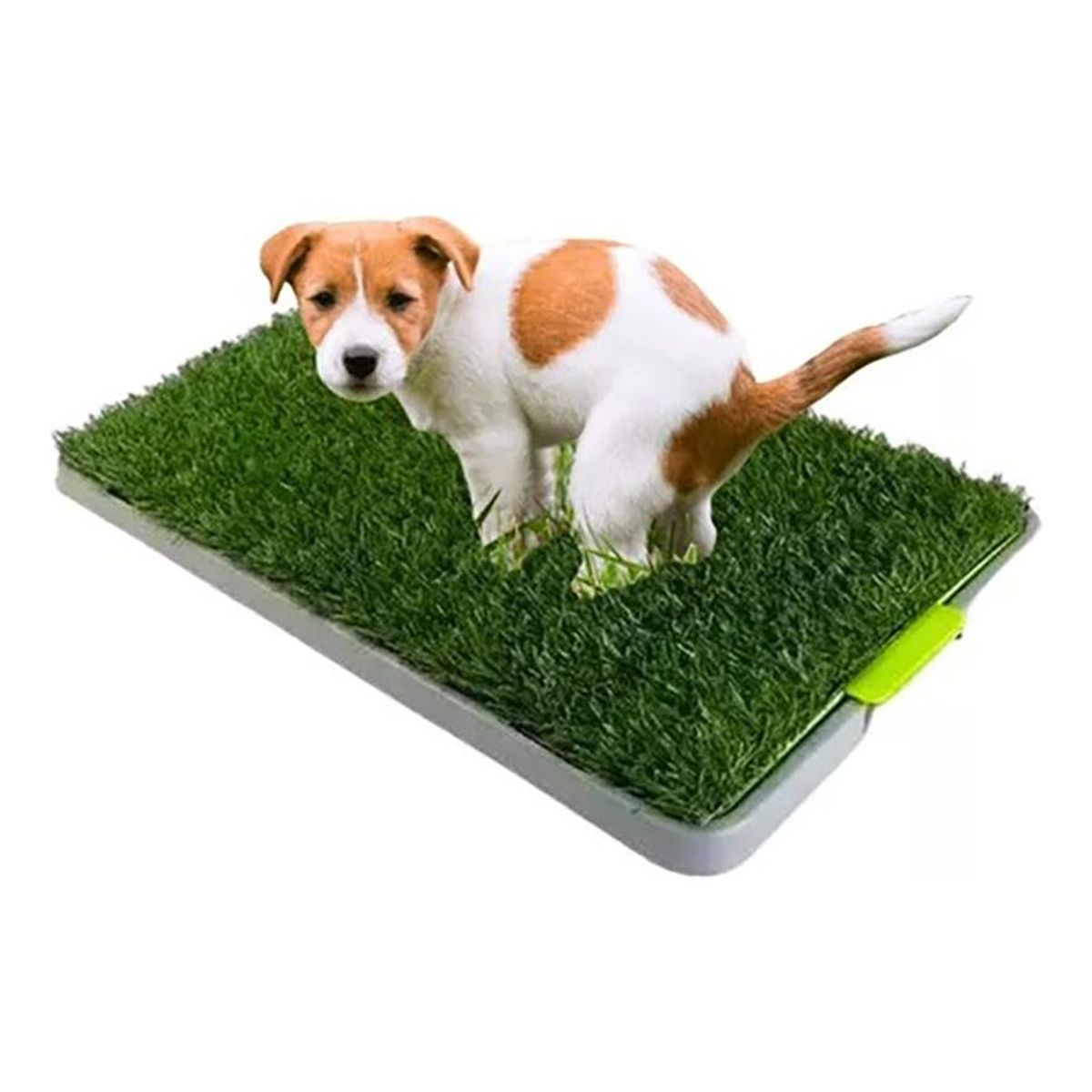 GENERICO - Baño Ecológico para Mascotas Talla M - Entrenador de Aseo