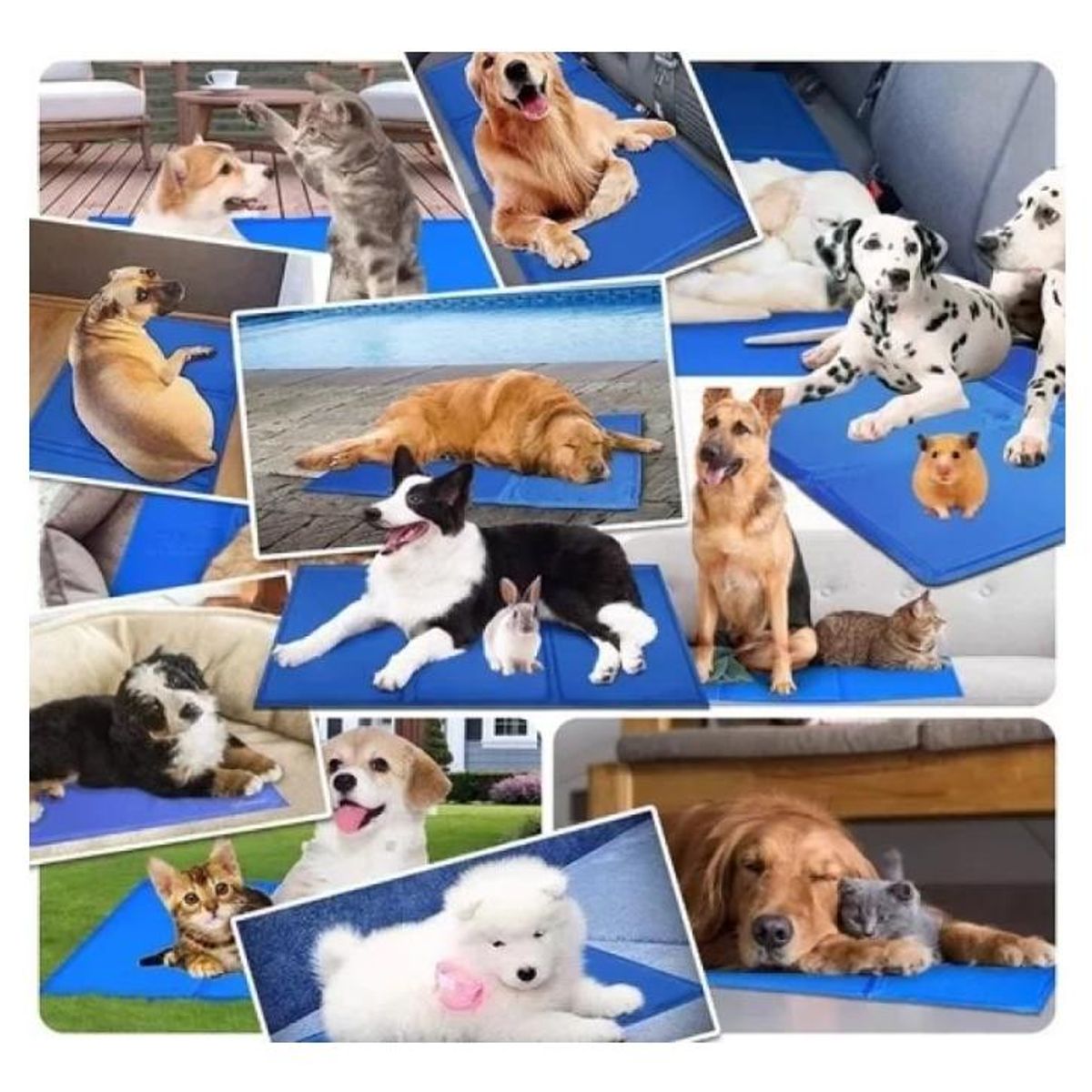 GENERICO - Manta Refrescante para Mascotas 90x50cm - Ideal para Verano