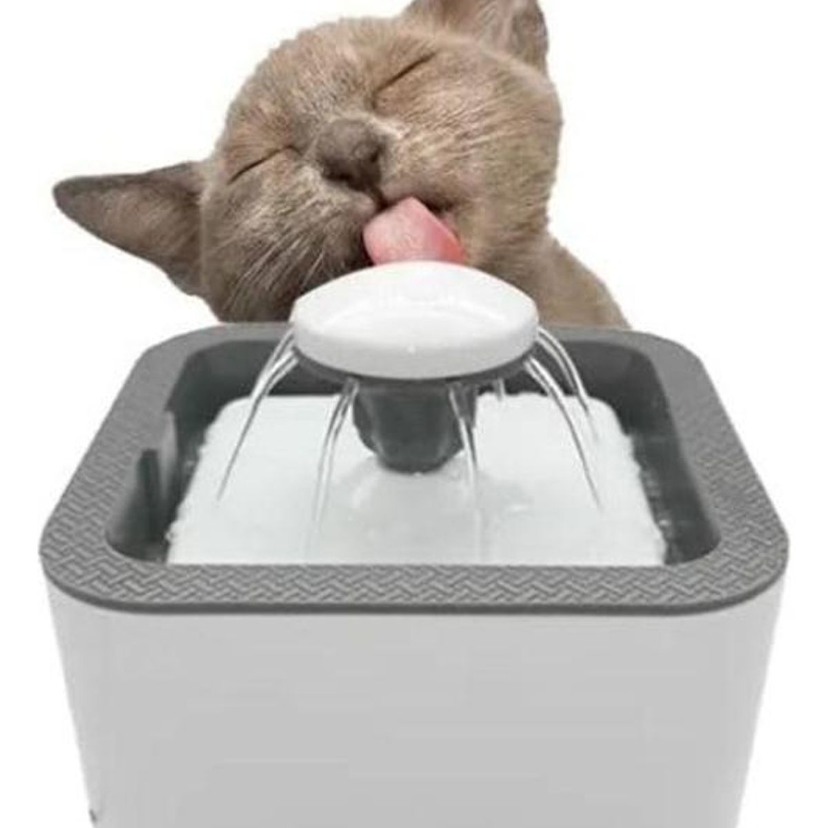 GENERICO - Fuente de Agua Automática para Gatos y Perros 25L