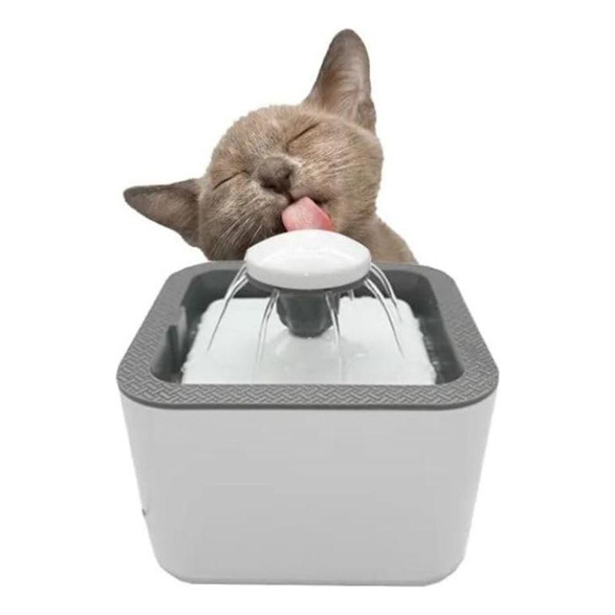 GENERICO - Fuente de Agua Automática para Gatos y Perros 25L