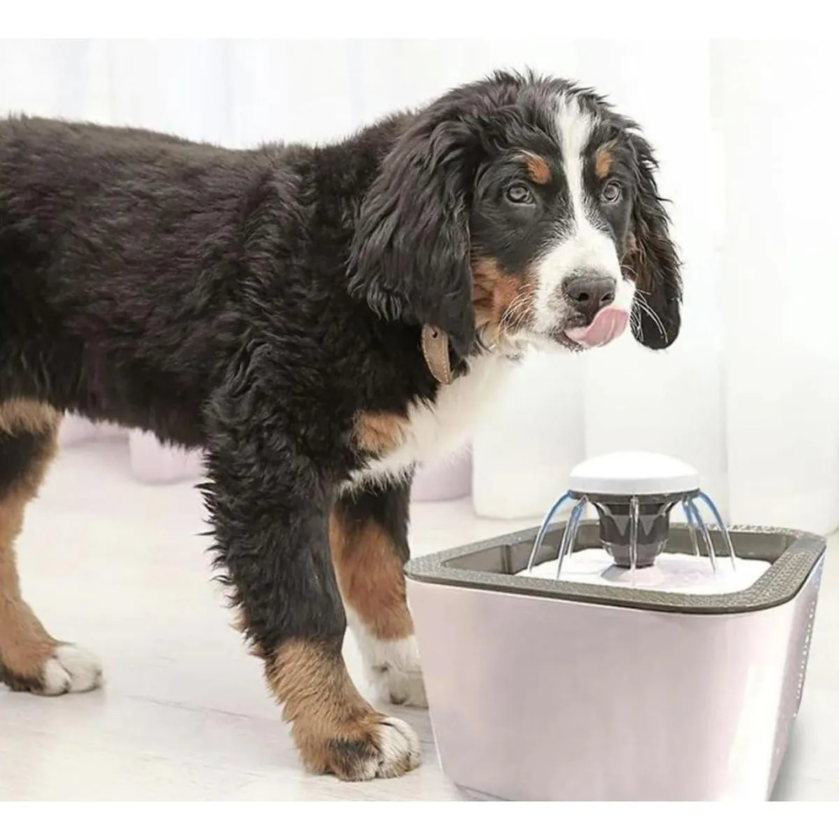 GENERICO - Fuente de Agua Automática para Gatos y Perros 25L