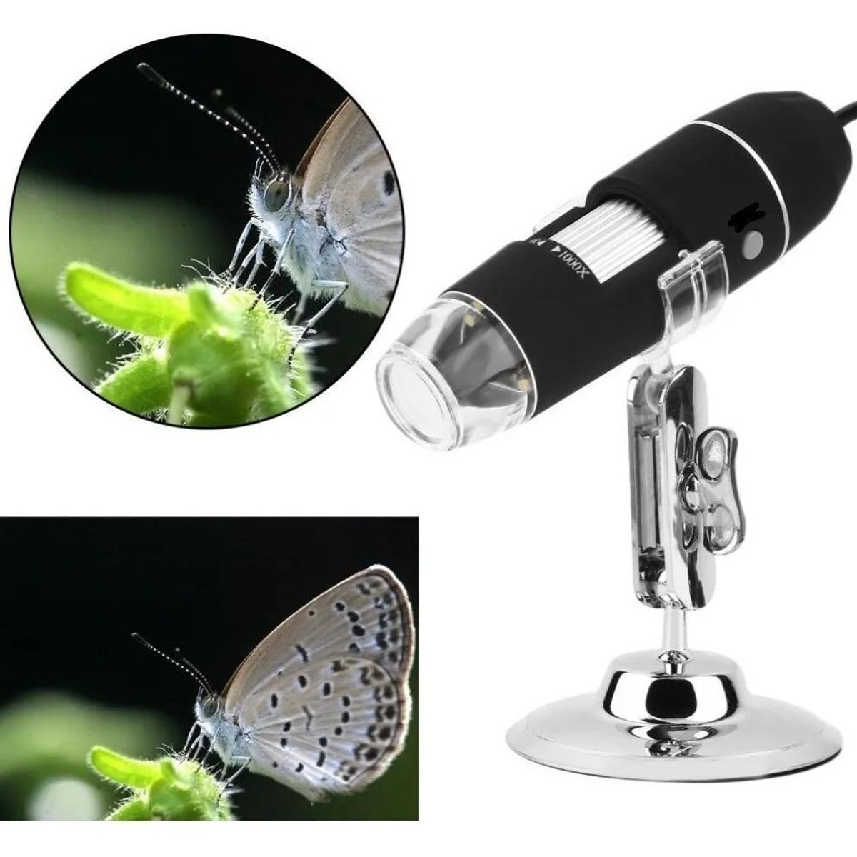 GENERICO - Microscopio Digital USB 1000x con Iluminación LED