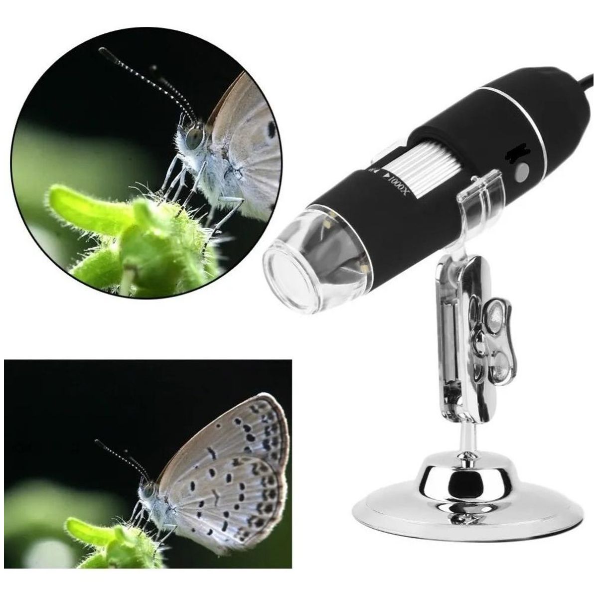 GENERICO - Microscopio Digital USB 1000x con Iluminación LED