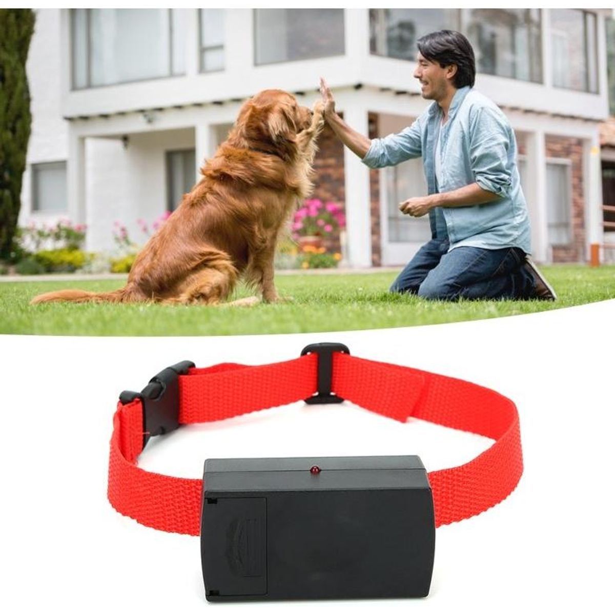 GENERICO - Collar Progresivo para Controlar Ladridos en Perros