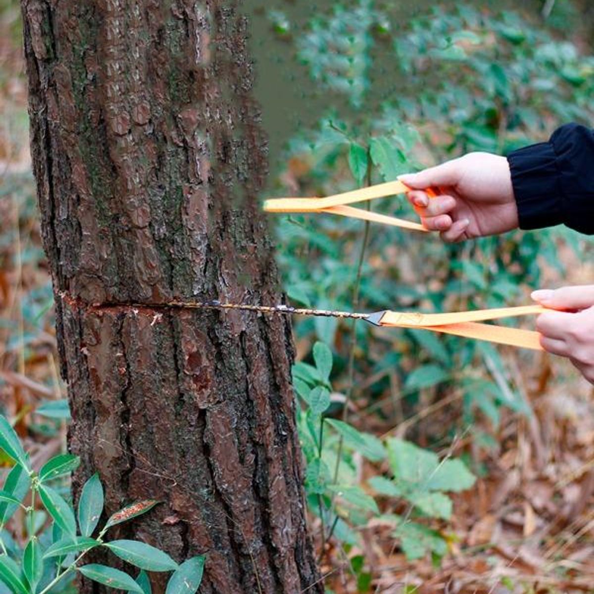 GENERICO - Sierra Manual para Cortar Árboles - Herramienta Útil