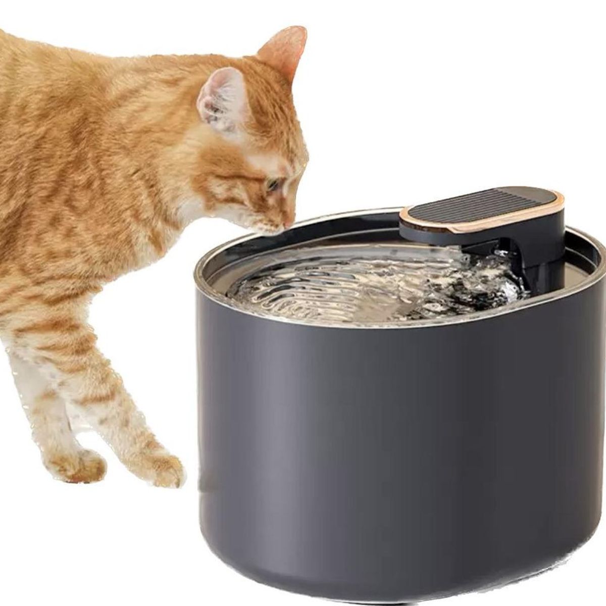 GENERICO - Dispensador de Agua Automático para Mascotas Inteligente