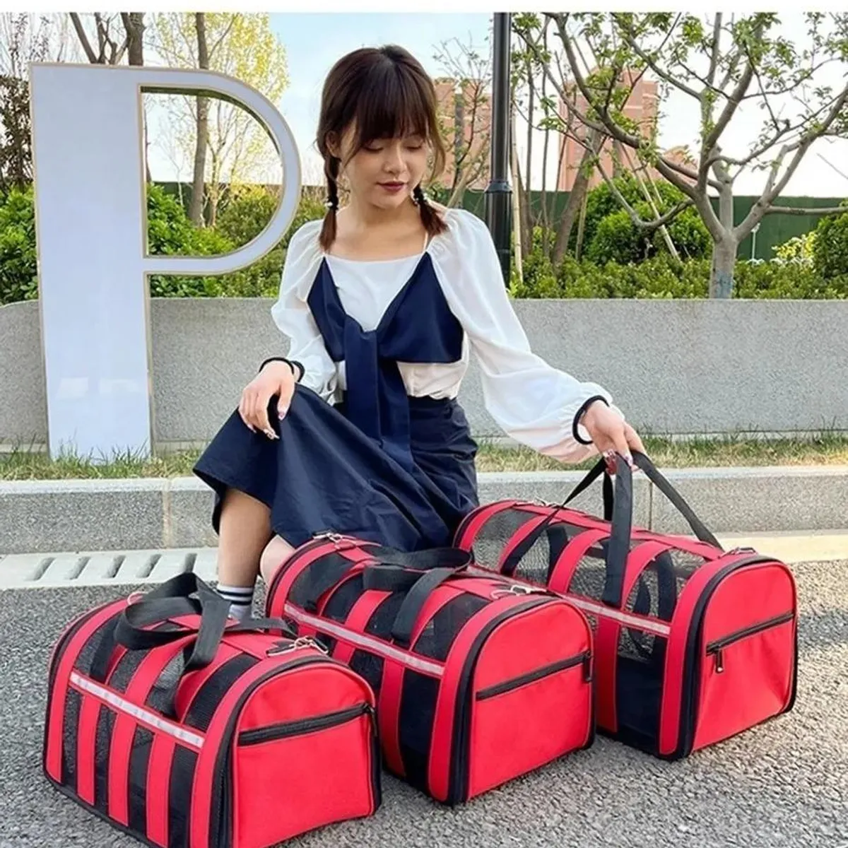 GENERICO - Bolso de Transporte para Mascotas Grande Malla Talla L