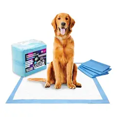 GENERICO - Pañales Sabanillas Desechables para Mascotas 60x90 cm - 40 Unidades