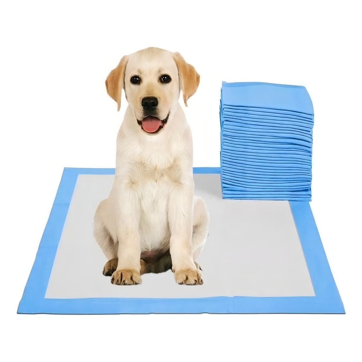 GENERICO - Sabanillas Desechables para Entrenamiento de Perros - 40 Unidades