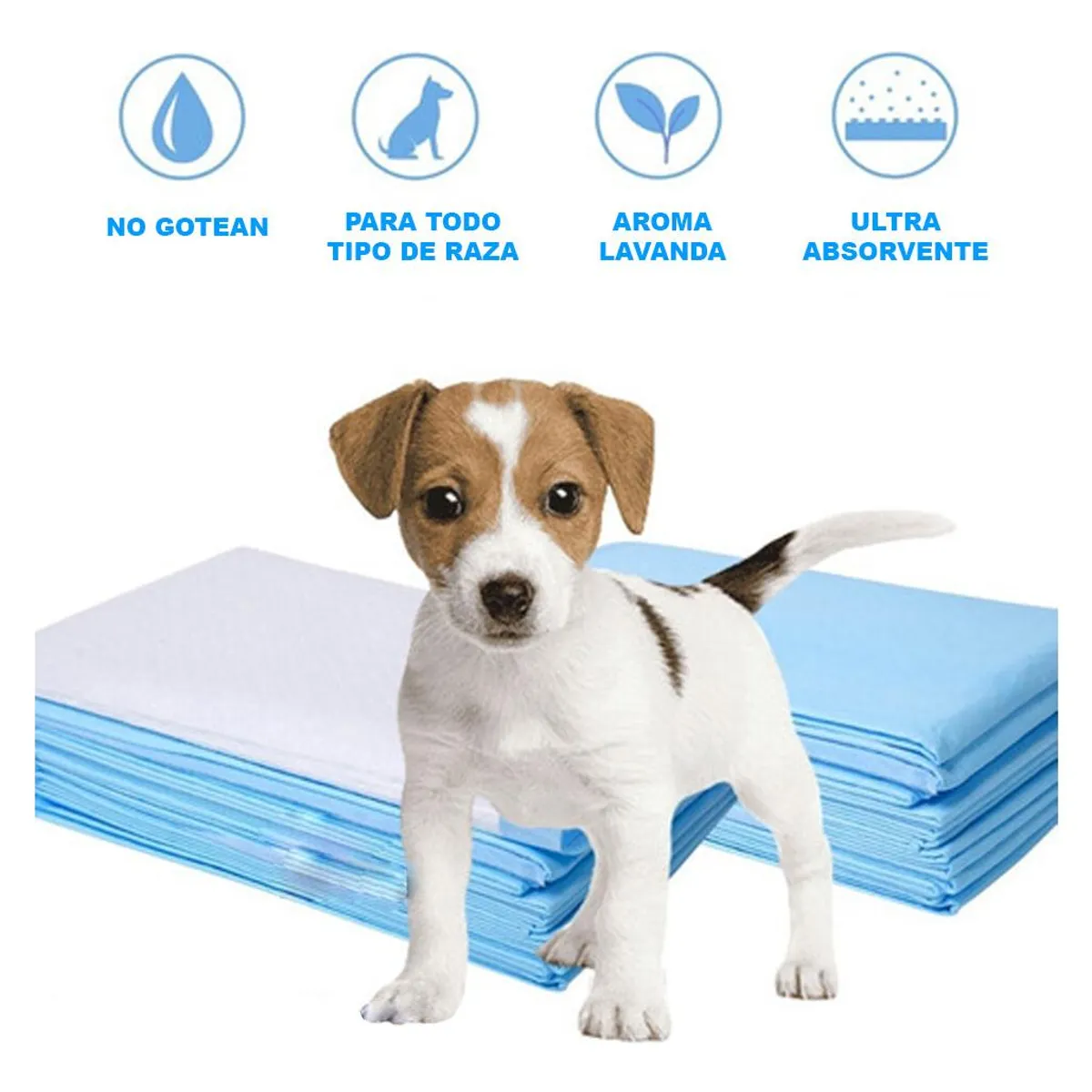 GENERICO - 100 Pañales Desechables para Perros 60x60 cm - Absorbentes y Prácticos