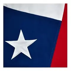 GENERICO - Bandera Chilena Reforzada 60x90 cm con Estrella Bordada