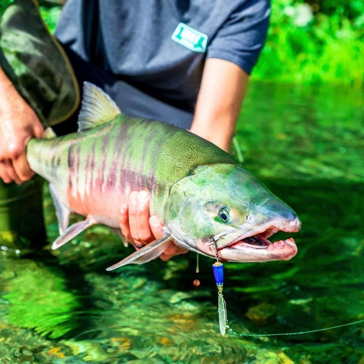 GENERICO - Set de 3 Anzuelos de Pesca de Acero 50 con Púas Afiladas