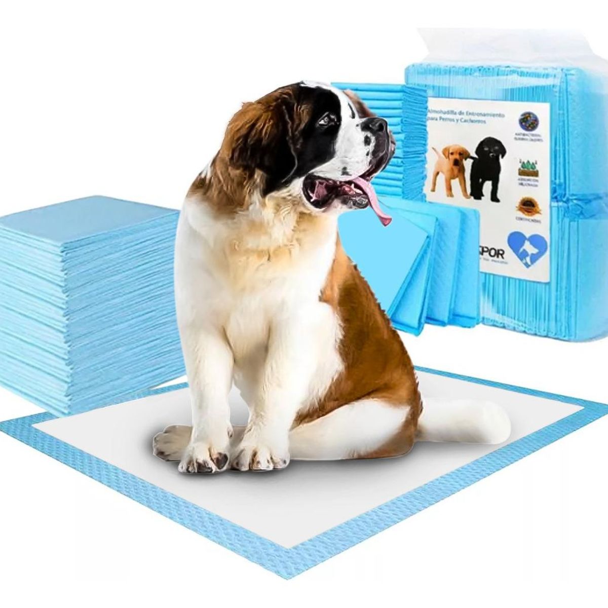 GENERICO - Pañales Desechables para Mascotas 60x60 cm - Pack de 80 Unidades