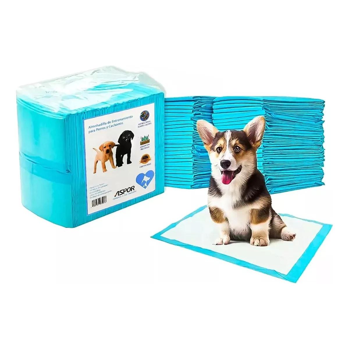 GENERICO - Pañales Desechables para Entrenamiento de Mascotas 60x60cm - 40 Unidades