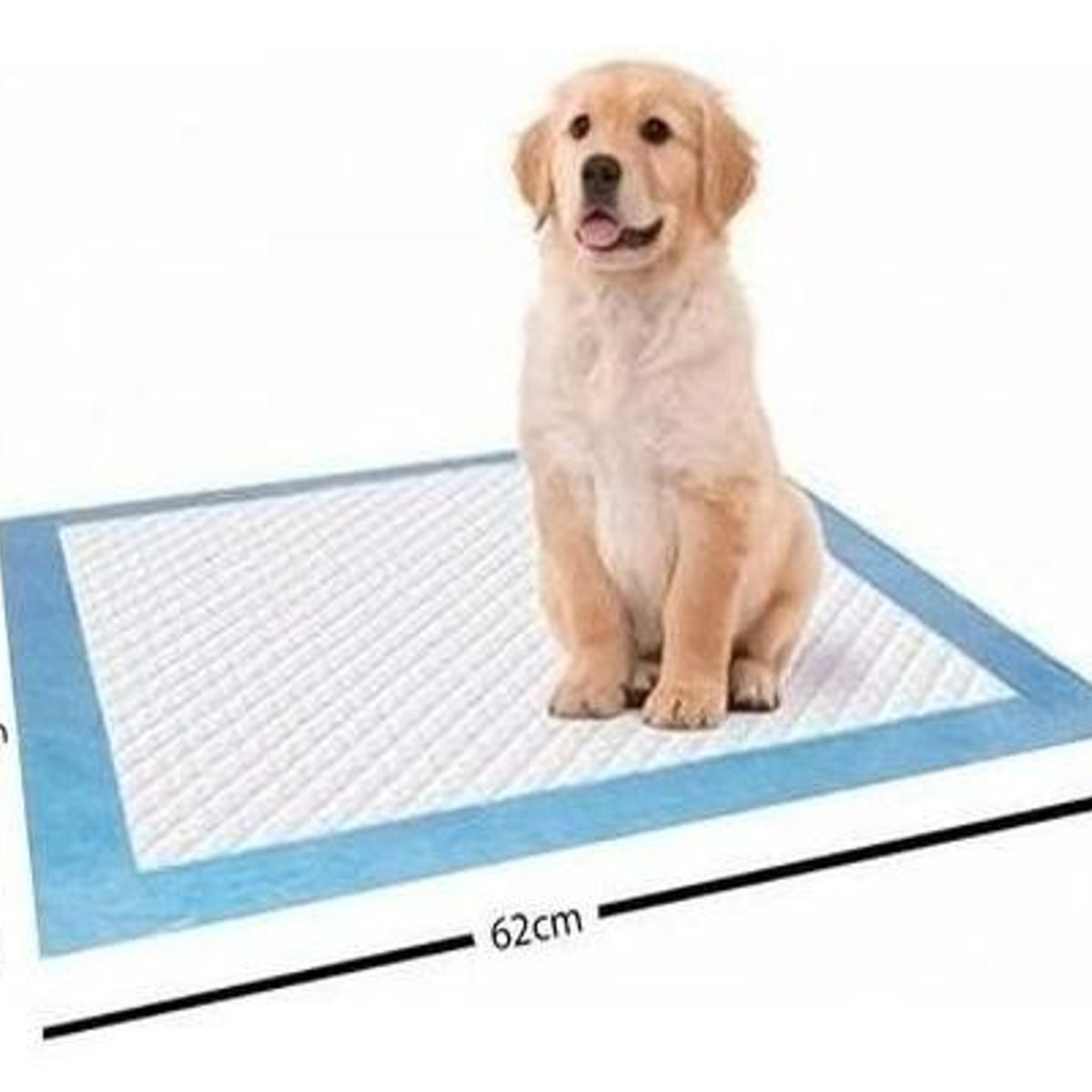 GENERICO - Pañales Desechables para Mascotas 60x60cm - Pack de 200 Unidades