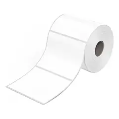 GENERICO - Pack de 10 Rollos de Etiquetas Adhesivas Térmicas 100mm x 100mm