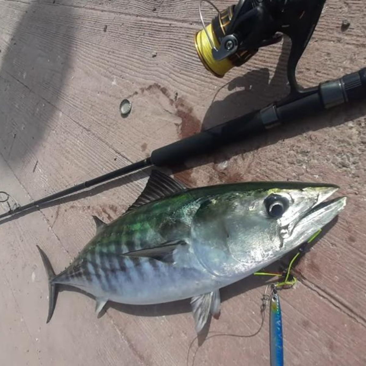 GENERICO - Señuelo Jig de Pesca 65cm 10g Diseño Aerodinámico