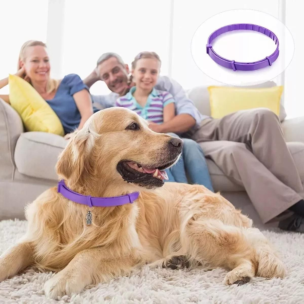 GENERICO - Collar Ajustable Calmante para Perros y Gatos