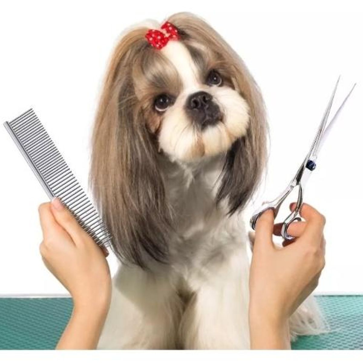 GENERICO - Set de Tijeras de Aseo Profesional para Perros - 4 Piezas