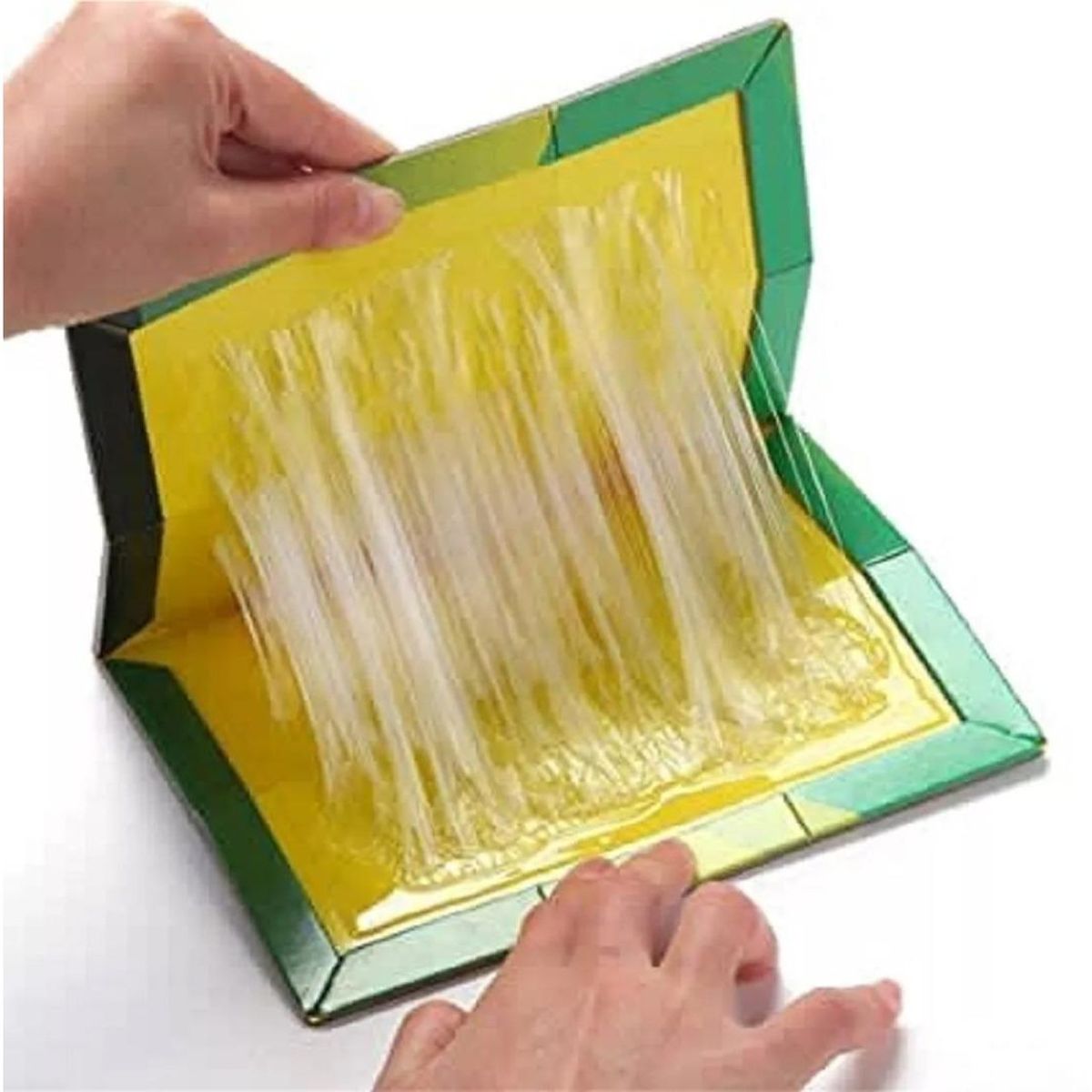 GENERICO - Trampa Adhesiva para Ratones Control Efectivo de Roedores