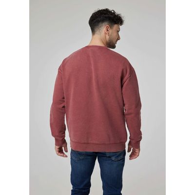 Imagen 2 del producto Poleron Hombre Loose Fit Brick