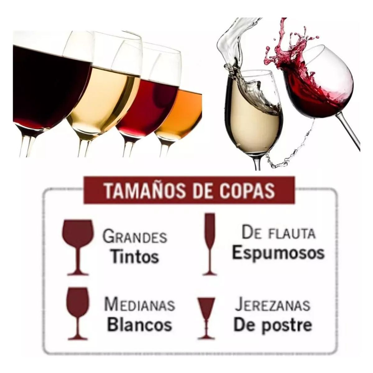 GENERICO - Aireador de Vino de Cristal con Decantador de Gota