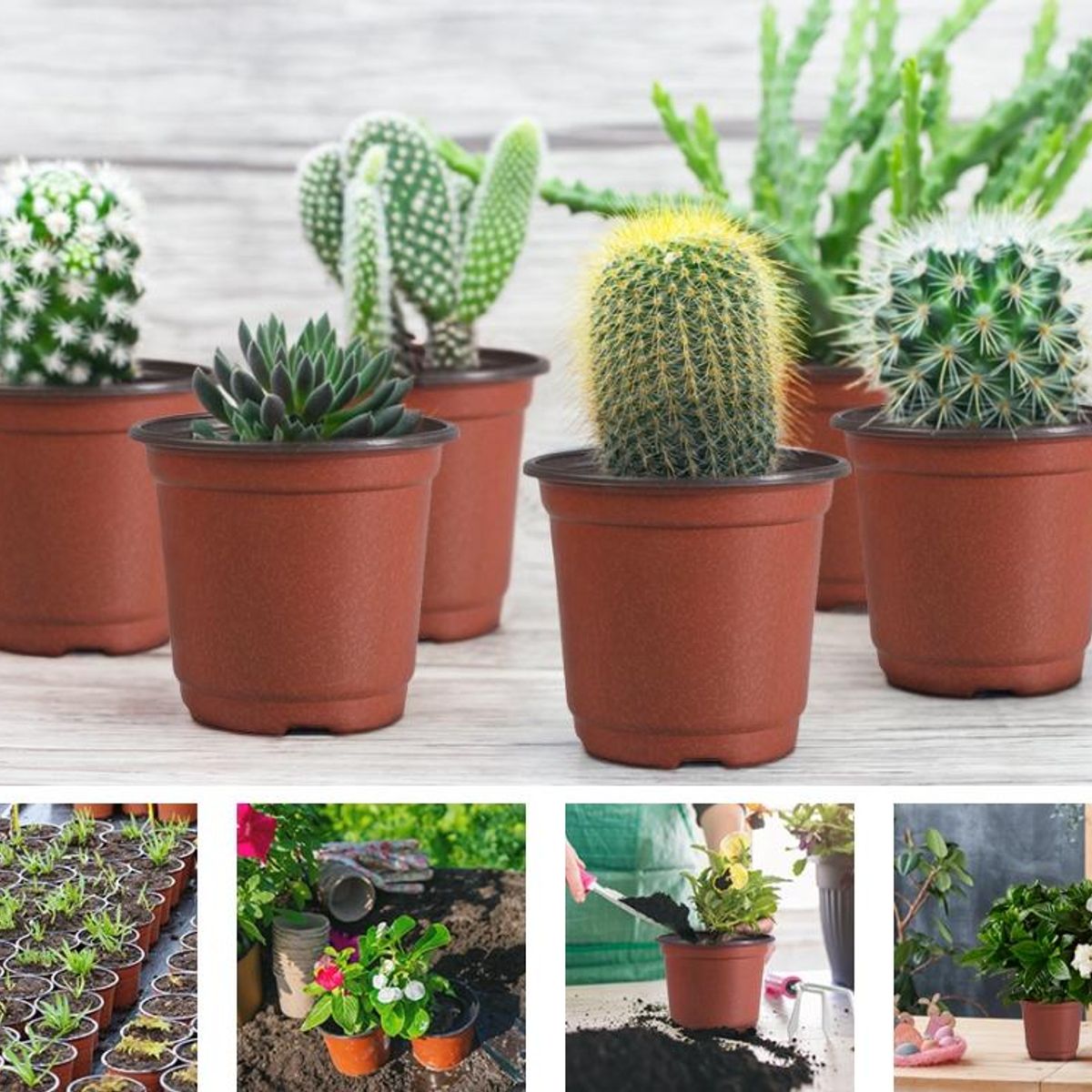 GENERICO - 135 Macetas de Plástico Flexibles para Vivero 9x8cm