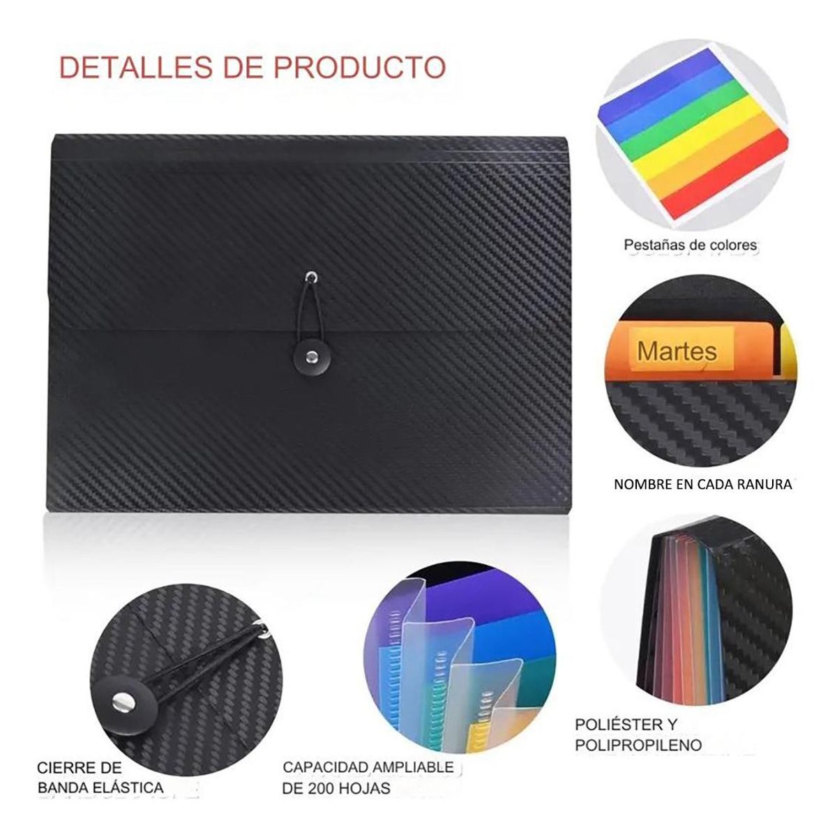 GENERICO - Carpeta Organizadora Clasificadora A4 con 13 Fuelles