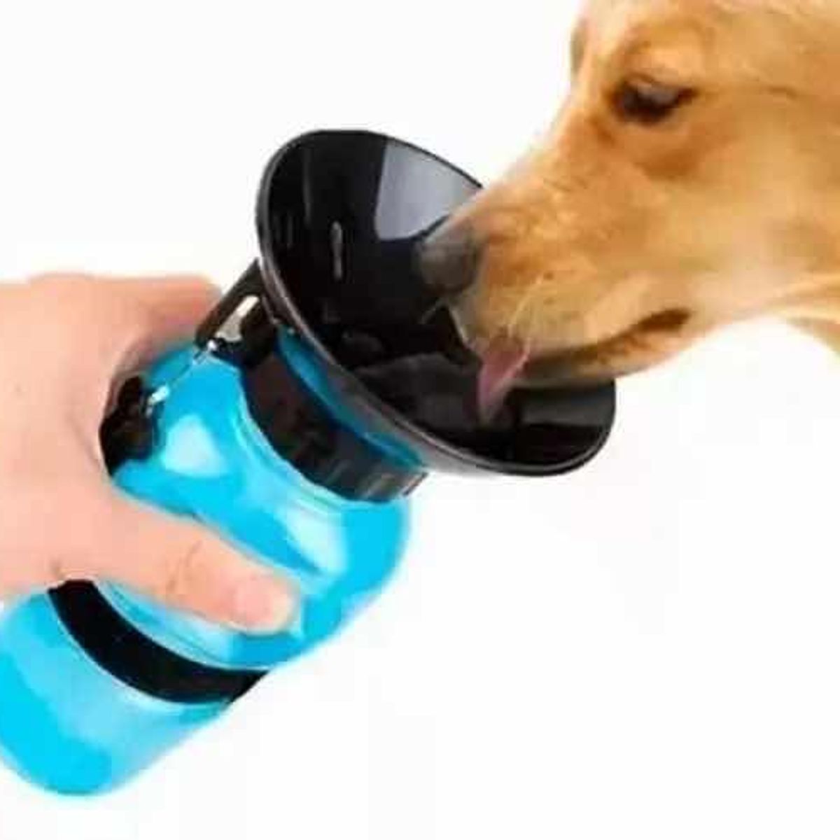 GENERICO - Botella Portátil para Agua y Bebedero para Perros
