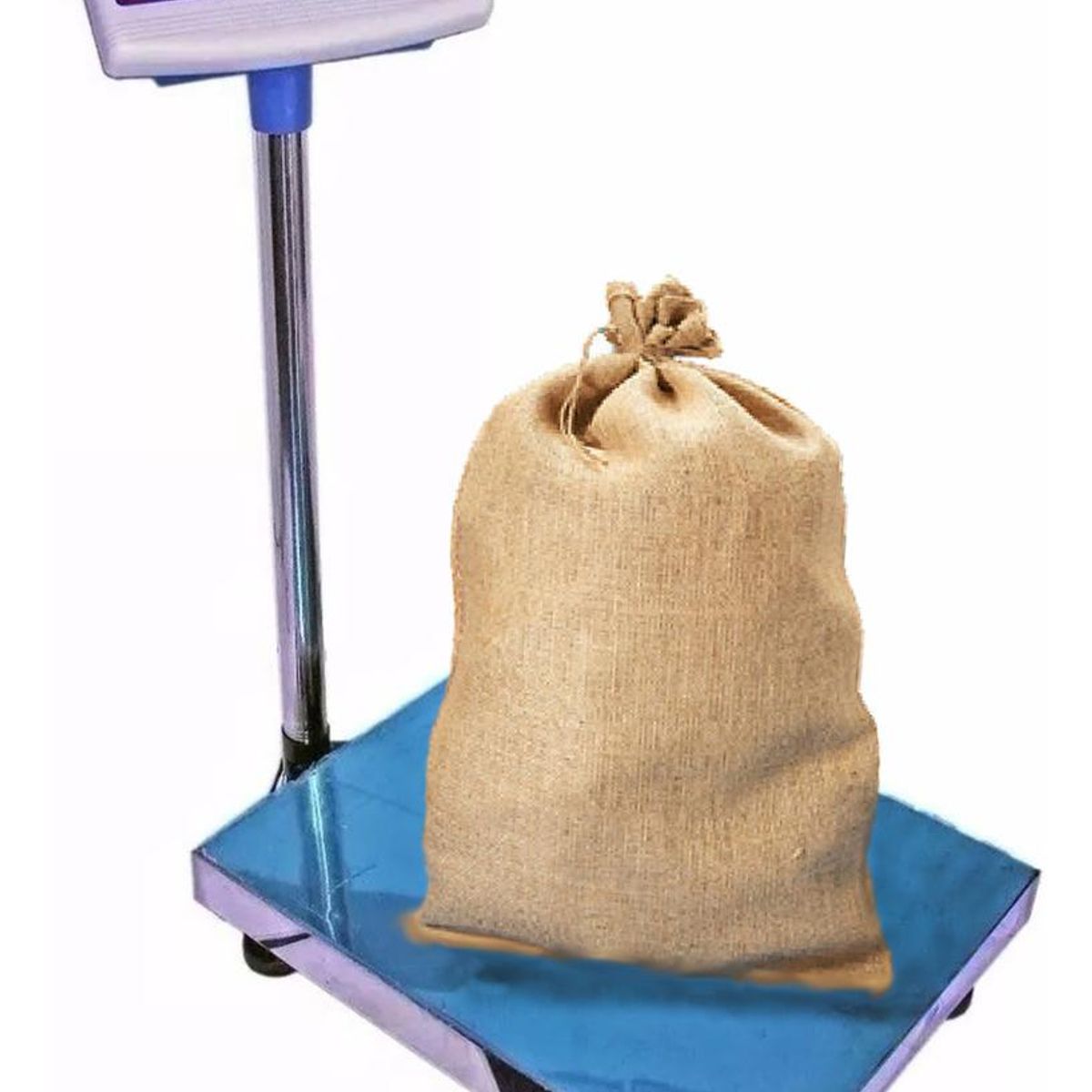 GENERICO - Balanza Digital de Plataforma para Pesaje de 300kg.