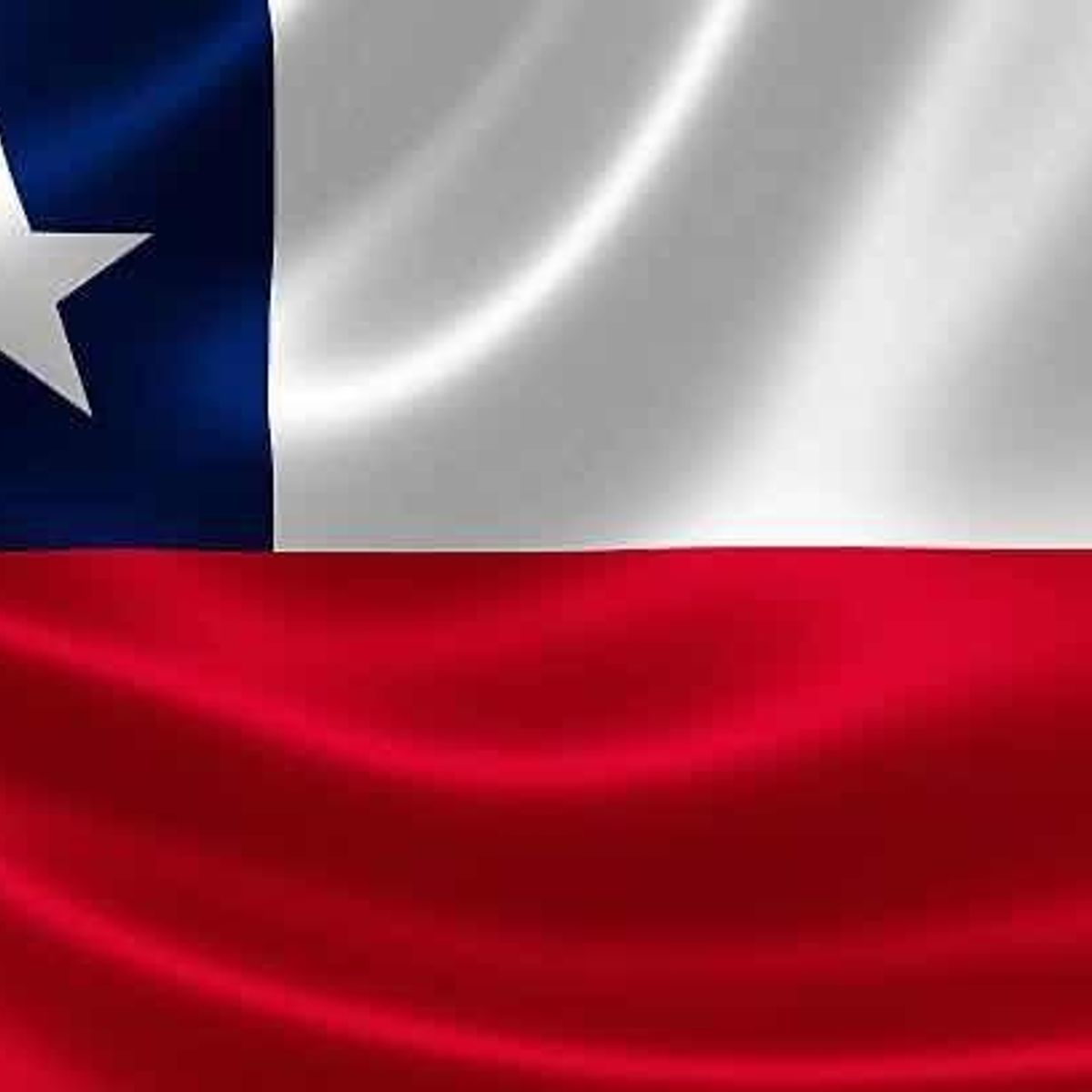 GENERICO - Bandera Chilena 60x90 cm de Alta Calidad