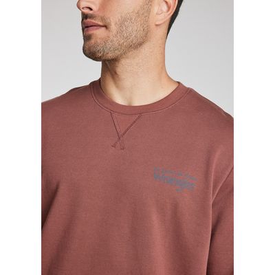 Imagen 2 del producto Poleron Hombre Graphic Sweatshirt Brown Root