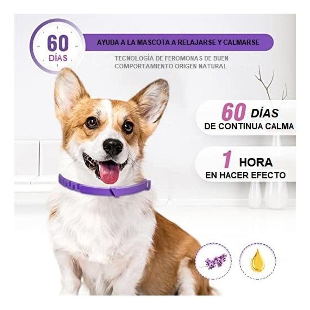 GENERICO - Collar Ajustable Calmante para Perros y Gatos Morado