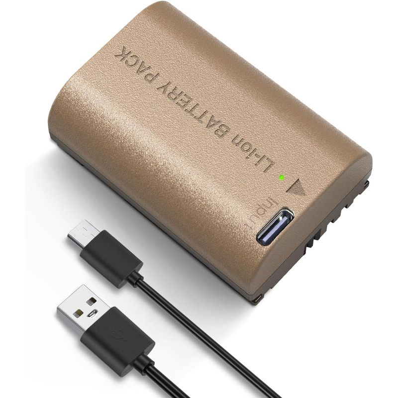 NEEWER - Batería Neewer LP-E6P 2400mAh con Puerto Tipo C