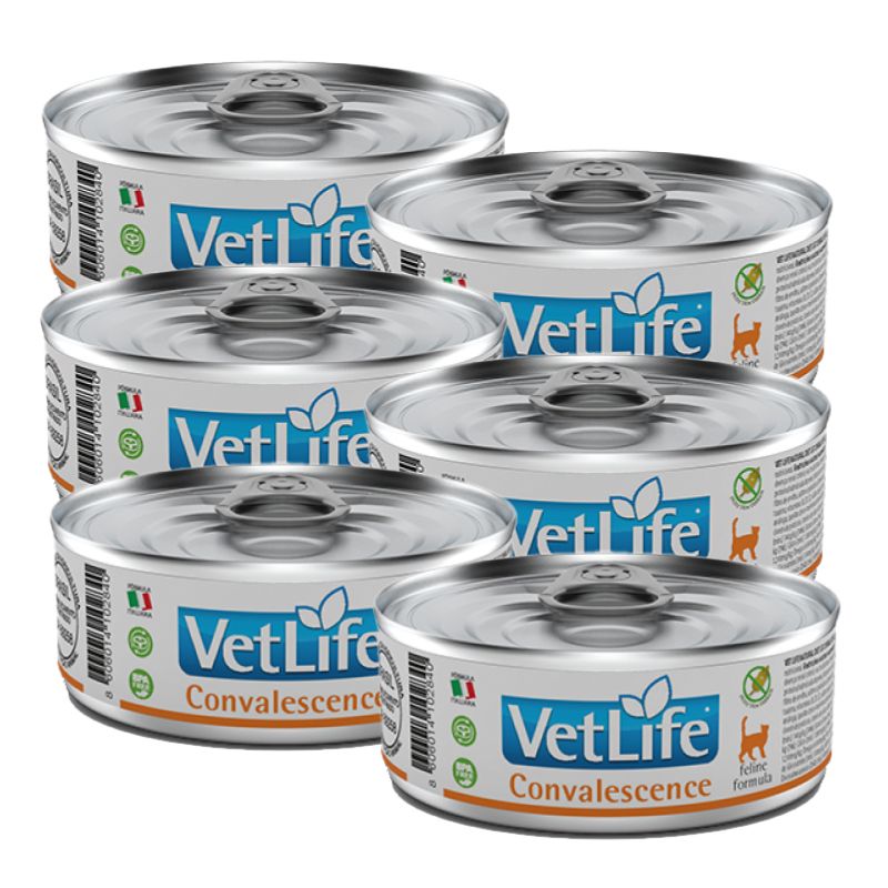 VETLIFE - Vet Life Lata Convalescence Gato Pack x 6 Latas 85gr