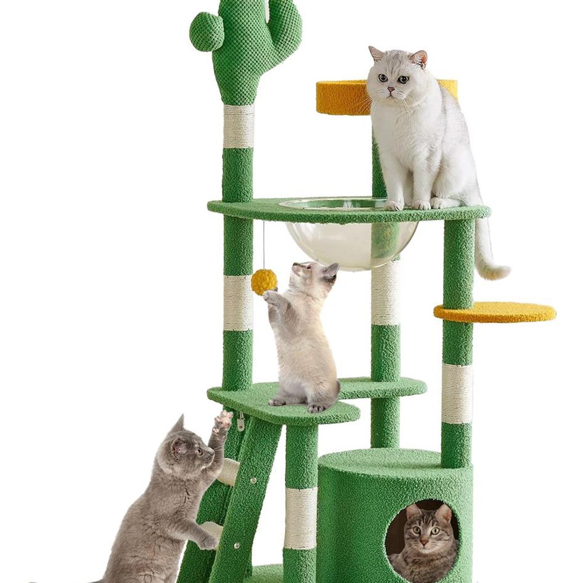 GENERICO - Torre Rascador Cactus 130cm con Hamaca y Escalera