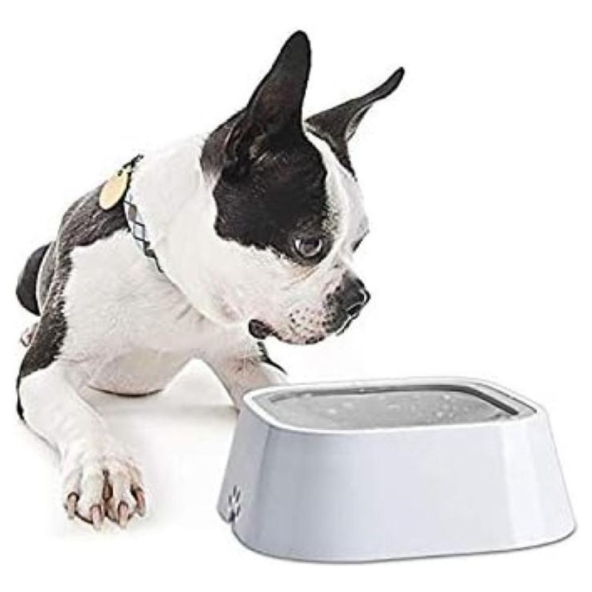 GENERICO - Tazón Antiderrame para Agua de Mascotas - Perro y Gato