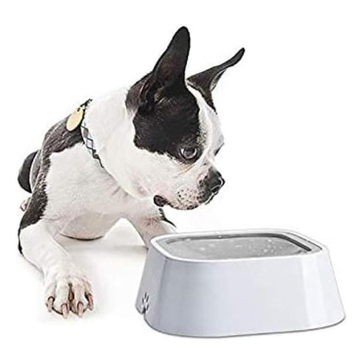 GENERICO - Tazón Antiderrame para Agua de Mascotas - Perro y Gato