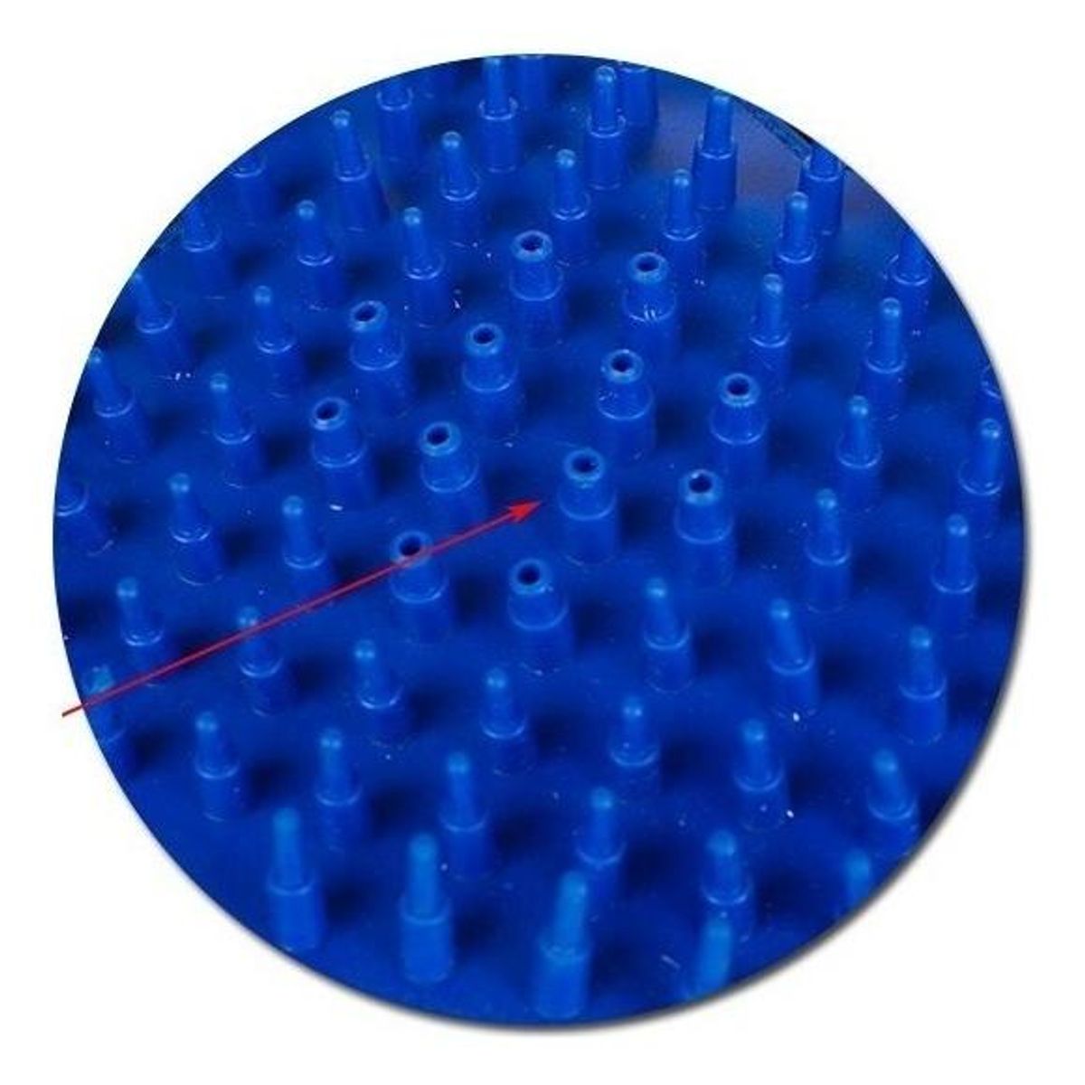 GENERICO - Guante Ducha Masajeador 2 En 1 Para Baño de Mascotas