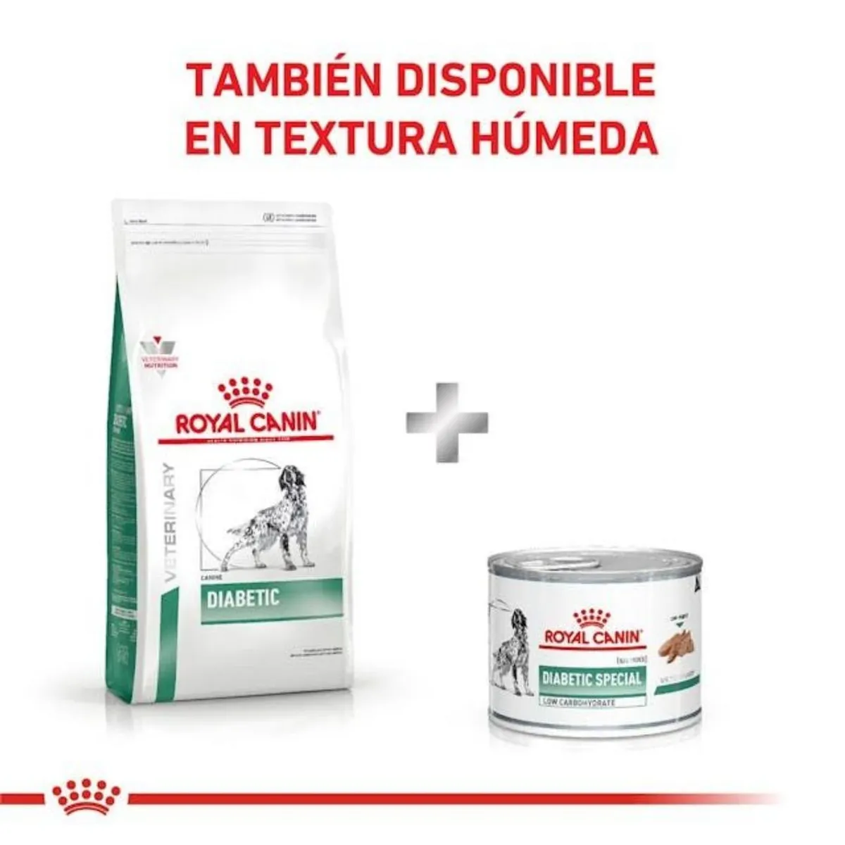 ROYAL CANIN - Royal Canin Diabetic Canine 10kg