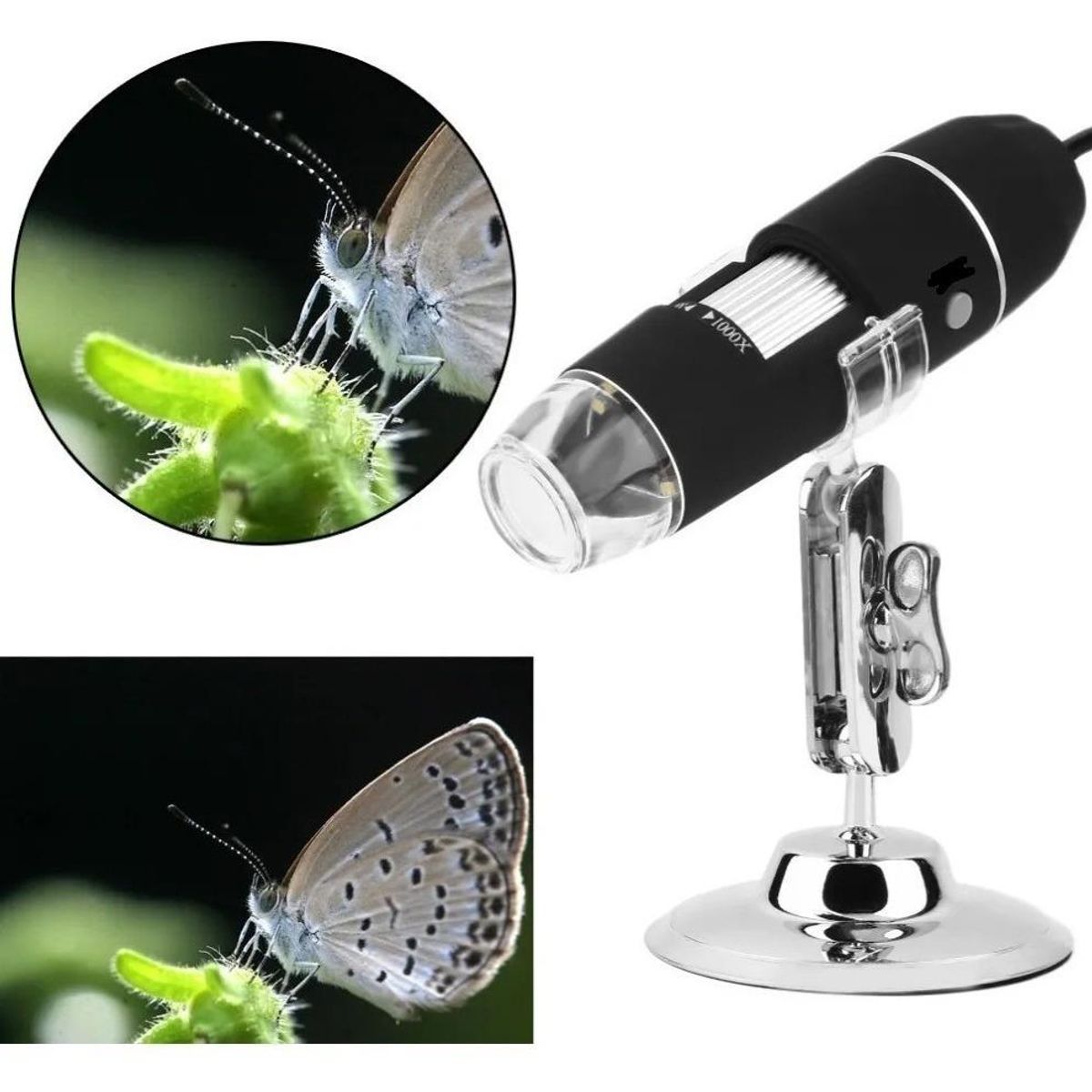 GENERICO - Microscopio Digital USB 1000x con Iluminación LED